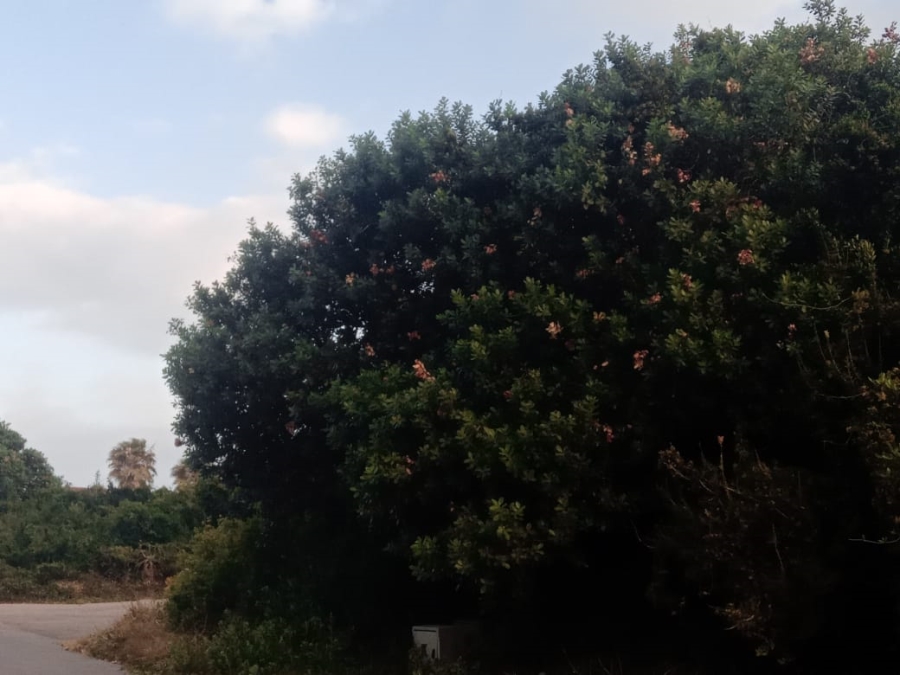 Commercial Property for Sale in Aston Bay Eastern Cape